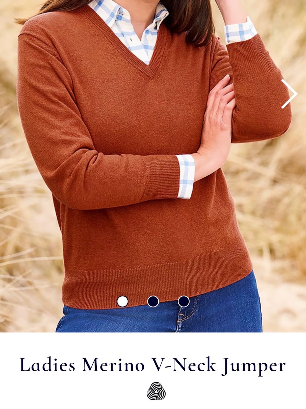 Ladies Merino V-Neck Sweater in Rust (US Large, European 40)